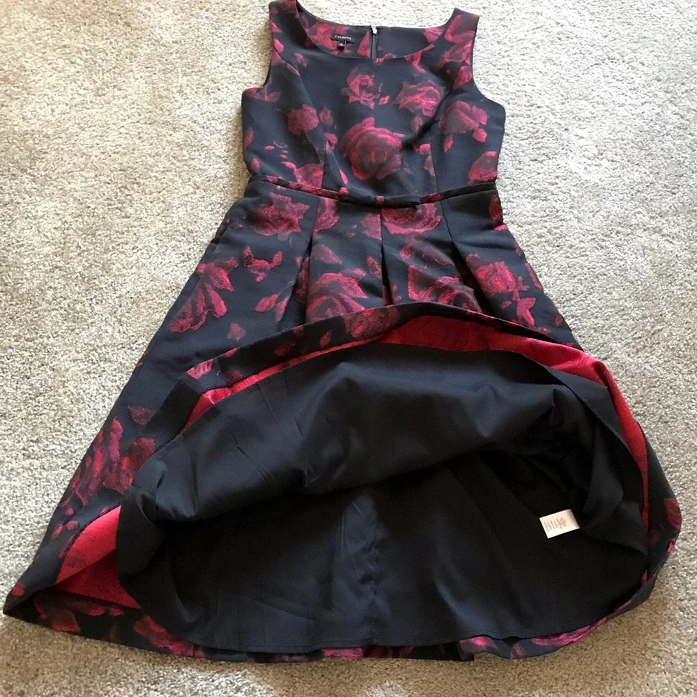 Talbots Women’s Black Red Roses Sleeveless Semi-Formal Cocktail Dress 2 (S/M) - Picture 12 of 15